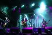 Grinspoon11