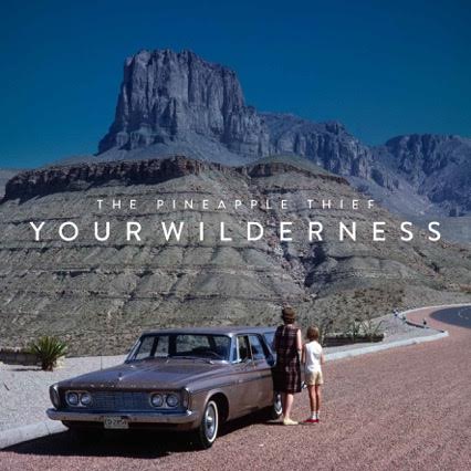 Pineapple Thief Your Wilderness